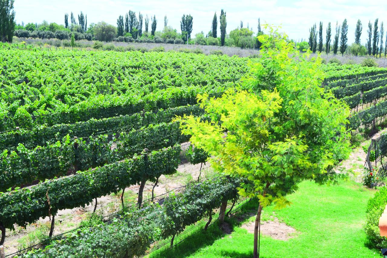 Chaglasian Wine & Suites San Rafael  Exteriér fotografie